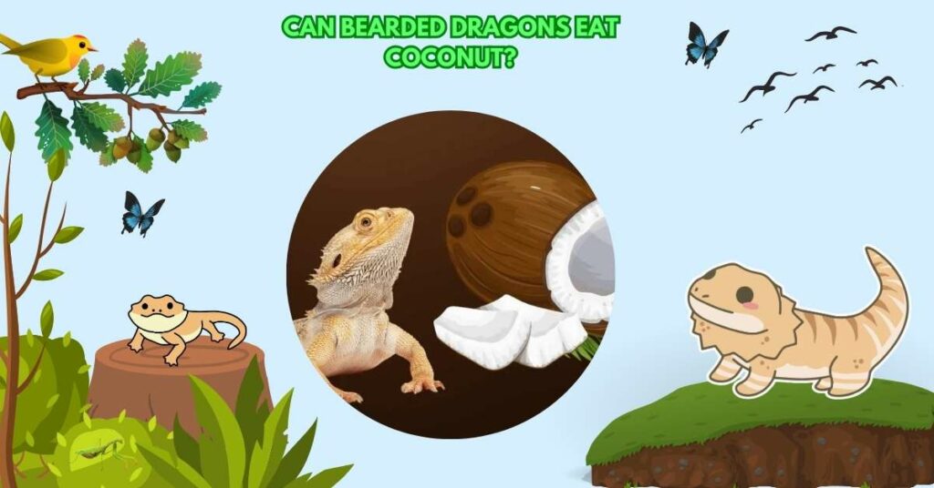 Can Bearded Dragons Eat Coconut?