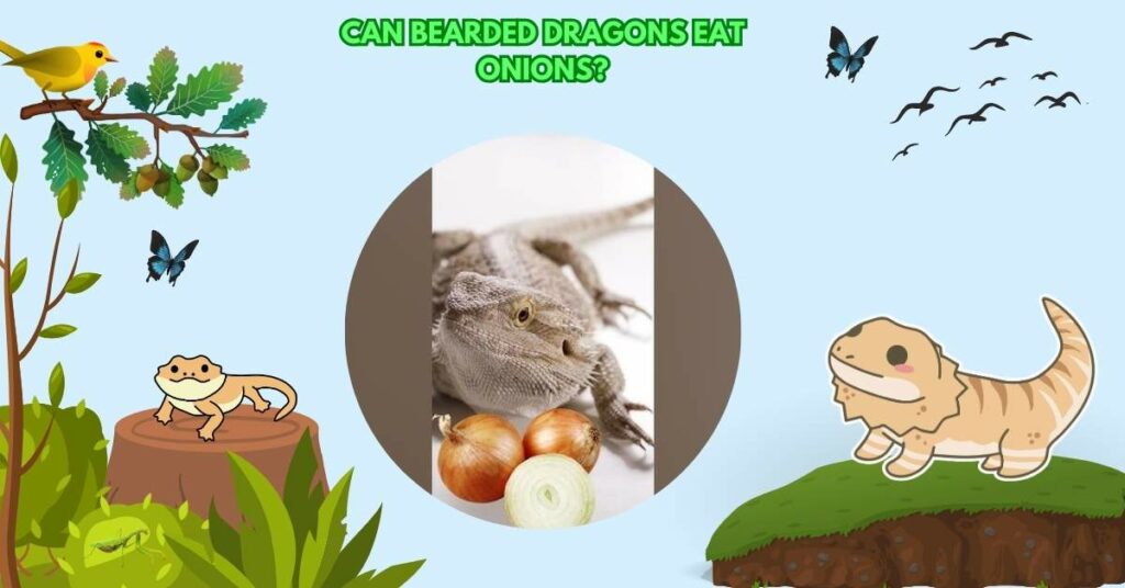 Can Bearded Dragons Eat Onions?