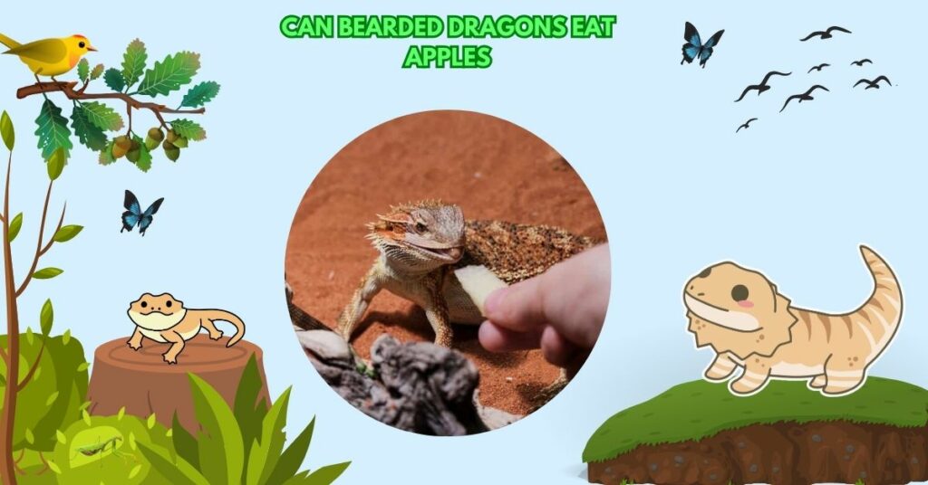 Can Bearded Dragons Eat Apples