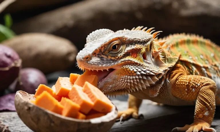 Can Bearded Dragons Eat Raw Yams