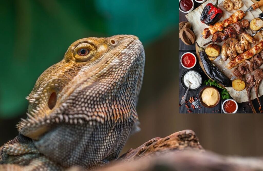 Nutritional Value of Yams for Bearded Dragons