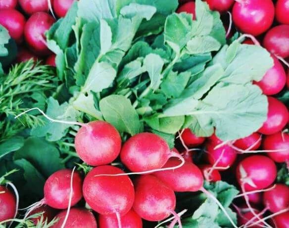 Risks Associated With Radishes