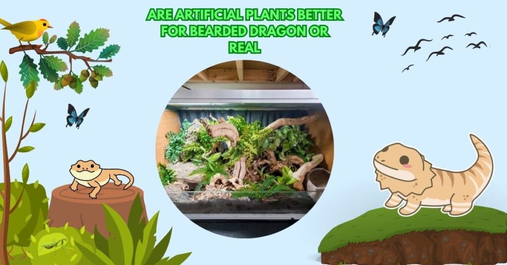 Are Artificial Plants Better For Bearded Dragon Or Real