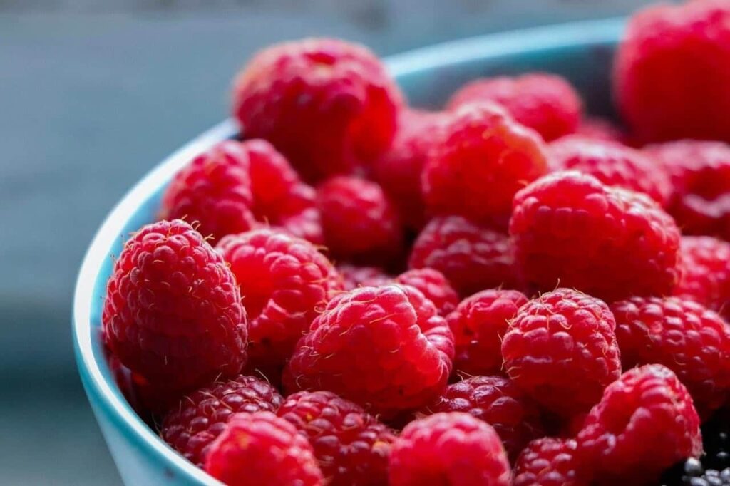 Can Raspberries Be Part of a Regular Diet