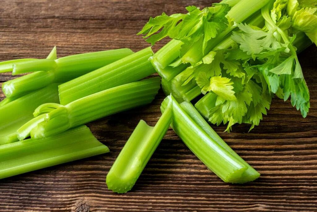 Does Celery Provide the Right Nutrients for Bearded Dragons