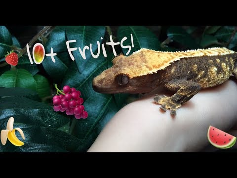 Fruits to Avoid