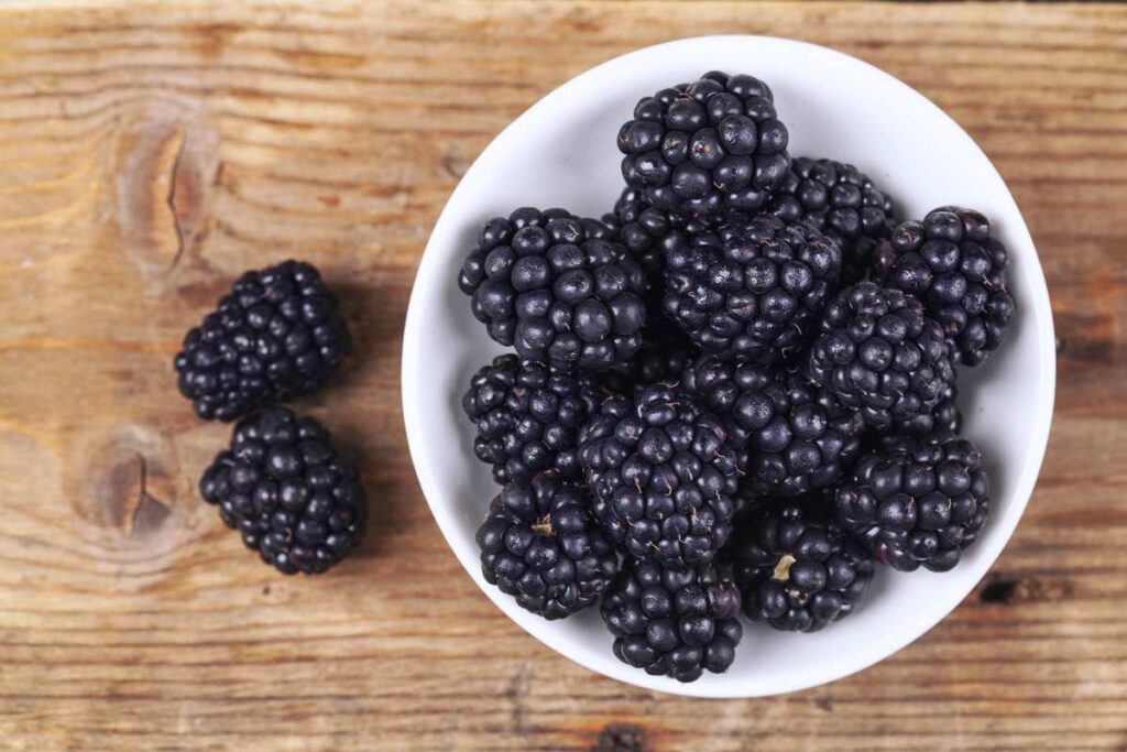 How to Safely Feed Blackberries to Bearded Dragons