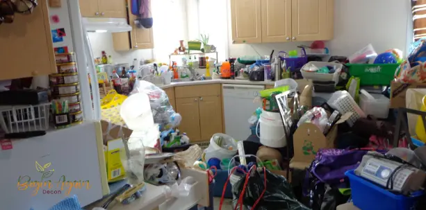 Hoarder Cleaning Services Los Angeles – 247 Support